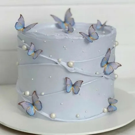 Blueberry Cake for Princess