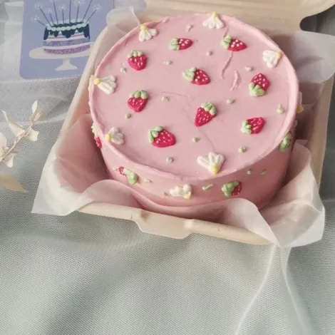 Strawberry Bento Cake